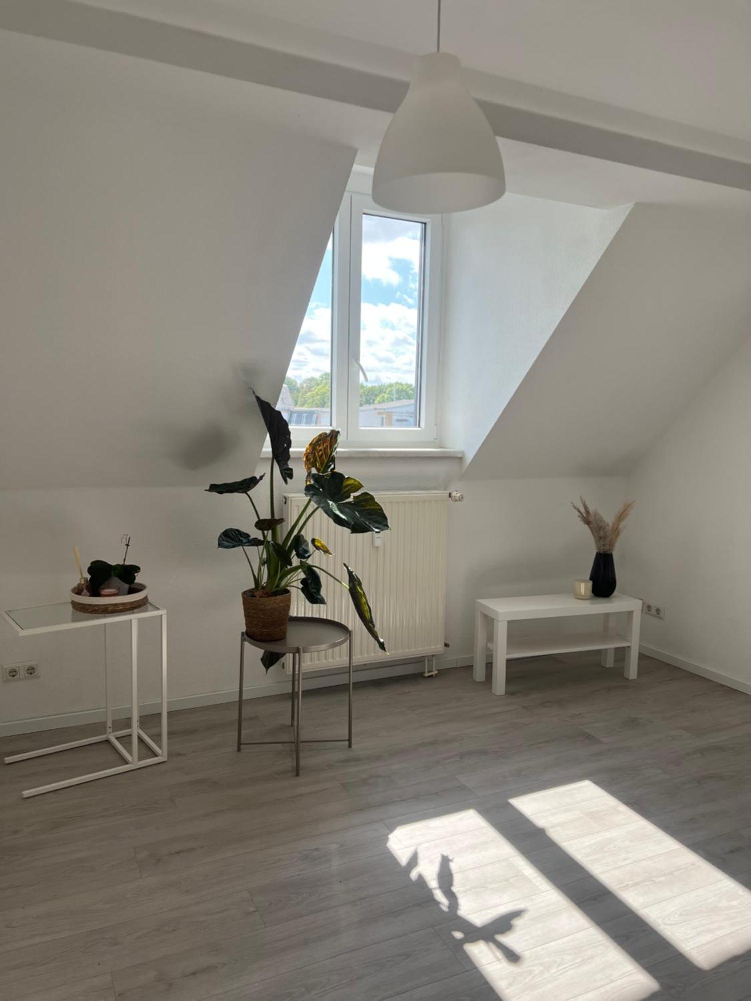 Cozy Work And Stay Pretty Home شيمنيتز المظهر الخارجي الصورة